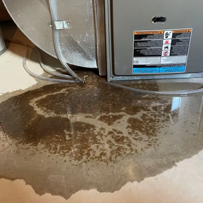Pipe Burst and Leak Restoration in Mount Ivy, NY